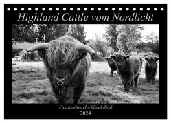 Highland Cattle vom Nordlicht – Faszination Hochland Rind (Tischkalender 2024 DIN A5 quer), CALVENDO Monatskalender von Knab,  Katharina