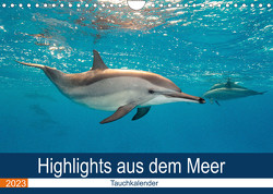 Highlights aus dem Meer – Tauchkalender (Wandkalender 2023 DIN A4 quer) von Gruse,  Sven