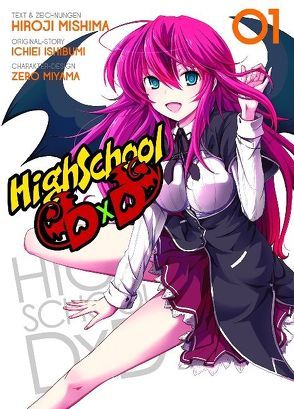 HighSchool DxD 01 von Ishibumi,  Ichiei, Mishima,  Hiroji, Miyama,  Zero