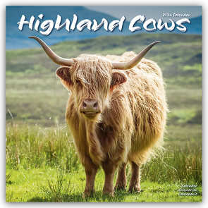 Higland Cows – Hochland Rinder 2024 – 16-Monatskalender