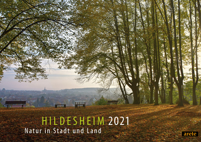 Hildesheim 2021 (DIN A3-Wandkalender) von Lenferink,  Franziska