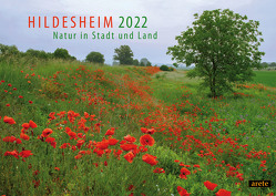 Hildesheim 2022 (DIN A3-Wandkalender) von Lenferink,  Franziska