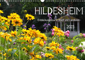 Hildesheim Entdeckungstour in Stadt und Landkreis (Wandkalender 2023 DIN A3 quer) von Regio-Fokus-Fotografie