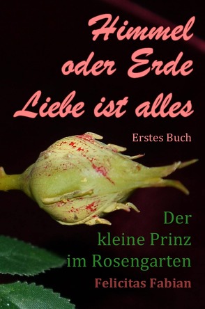 Himmel oder Erde – Liebe ist alles / Himmel oder Erde – Liebe ist alles – Band 1 – Der kleine Prinz im Rosengarten von Liebe ist alles,  Felicitas Fabian