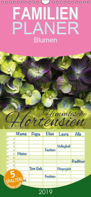 Himmlische Hortensien – Familienplaner hoch (Wandkalender 2019 , 21 cm x 45 cm, hoch) von Cross,  Martina