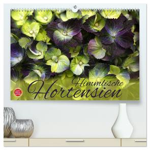 Himmlische Hortensien (hochwertiger Premium Wandkalender 2024 DIN A2 quer), Kunstdruck in Hochglanz von Cross,  Martina