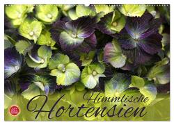 Himmlische Hortensien (Wandkalender 2024 DIN A2 quer), CALVENDO Monatskalender von Cross,  Martina