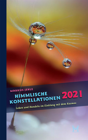 Himmlische Konstellationen 2021 von Jehle,  Markus