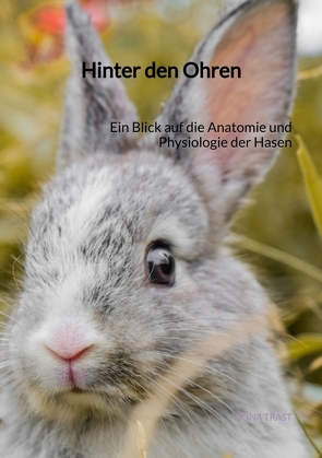 Hinter den Ohren von Trast,  Jona