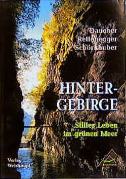 Hintergebirge von Daucher,  Helmut, Rettenegger,  Gerald, Schörkhuber,  Otto