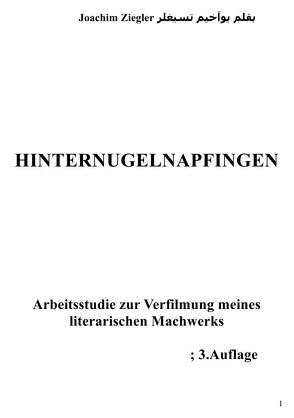 Hinternugelnapfingen Arbeitsstudie zur Verfilmung meines literarischen Machwerks; 2.Auflage von Ziegler,  Joachim