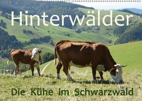Hinterwälder – Die Kühe aus dem Schwarzwald (Wandkalender 2019 DIN A2 quer) von Goldscheider,  Stefanie
