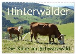 Hinterwälder – Die Kühe aus dem Schwarzwald (Wandkalender 2024 DIN A3 quer), CALVENDO Monatskalender von Goldscheider,  Stefanie
