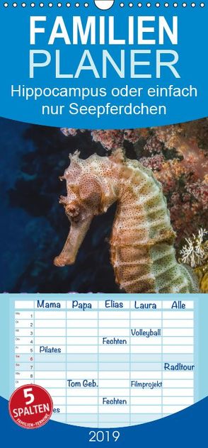 Hippocampus oder einfach nur Seepferdchen – Familienplaner hoch (Wandkalender 2019 , 21 cm x 45 cm, hoch) von Gödecke,  Dieter