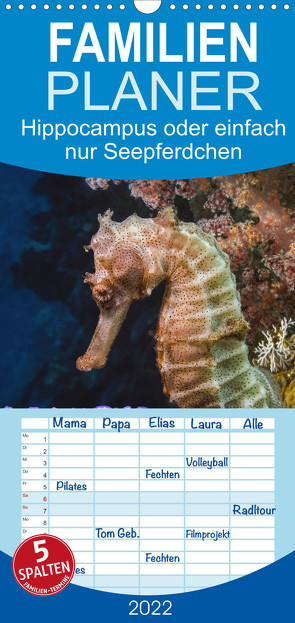 Familienplaner Hippocampus oder einfach nur Seepferdchen (Wandkalender 2022 , 21 cm x 45 cm, hoch) von Gödecke,  Dieter