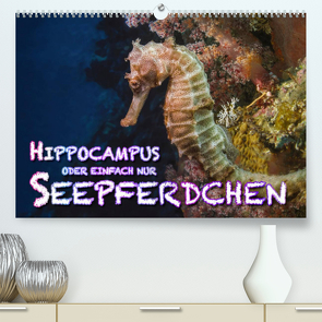 Hippocampus oder einfach nur Seepferdchen (Premium, hochwertiger DIN A2 Wandkalender 2022, Kunstdruck in Hochglanz) von Gödecke,  Dieter