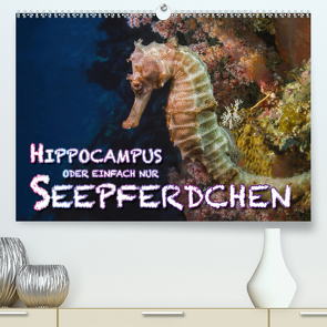 Hippocampus oder einfach nur Seepferdchen (Premium, hochwertiger DIN A2 Wandkalender 2020, Kunstdruck in Hochglanz) von Gödecke,  Dieter