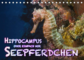 Hippocampus oder einfach nur Seepferdchen (Tischkalender 2022 DIN A5 quer) von Gödecke,  Dieter