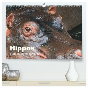 Hippos – Begegnungen in Afrika (hochwertiger Premium Wandkalender 2024 DIN A2 quer), Kunstdruck in Hochglanz von Herzog,  Michael