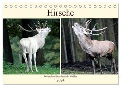 Hirsche – Die stolzen Bewohner des Waldes (Tischkalender 2024 DIN A5 quer), CALVENDO Monatskalender von Klatt,  Arno