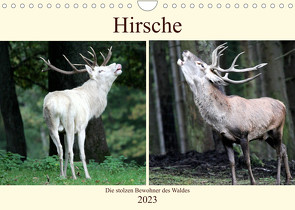 Hirsche – Die stolzen Bewohner des Waldes (Wandkalender 2023 DIN A4 quer) von Klatt,  Arno