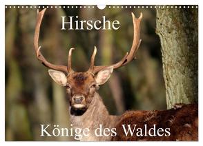 Hirsche – Könige des Waldes/Geburtstagskalender (Wandkalender 2024 DIN A3 quer), CALVENDO Monatskalender von Klatt,  Arno