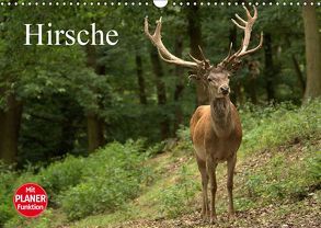 Hirsche (Wandkalender 2019 DIN A3 quer) von Klatt,  Arno