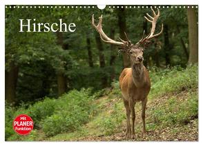 Hirsche (Wandkalender 2024 DIN A3 quer), CALVENDO Monatskalender von Klatt,  Arno