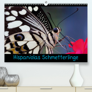 Hispaniolas Schmetterlinge (Premium, hochwertiger DIN A2 Wandkalender 2020, Kunstdruck in Hochglanz) von Bleck,  Nicole