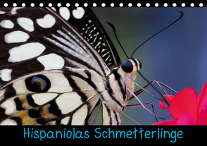 Hispaniolas Schmetterlinge (Tischkalender 2021 DIN A5 quer) von Bleck,  Nicole