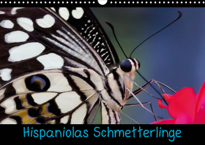 Hispaniolas Schmetterlinge (Wandkalender 2021 DIN A3 quer) von Bleck,  Nicole