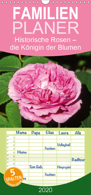 Historische Rosen – die Königin der Blumen – Familienplaner hoch (Wandkalender 2020 , 21 cm x 45 cm, hoch) von CALVENDO