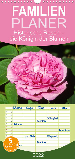 Familienplaner Historische Rosen – die Königin der Blumen (Wandkalender 2022 , 21 cm x 45 cm, hoch) von CALVENDO
