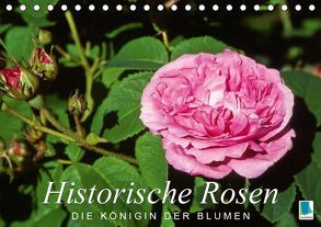 Historische Rosen – die Königin der Blumen (Tischkalender 2019 DIN A5 quer) von CALVENDO