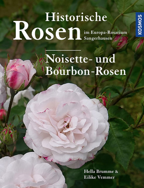 Historische Rosen im Europa Rosarium Sangerhausen: Noisette- und Bourbon-Rosen von Brumme,  Hella, Vemmer,  Eilike