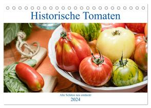 Historische Tomaten – Alte Schätze neu entdeckt (Tischkalender 2024 DIN A5 quer), CALVENDO Monatskalender von Meyer,  Dieter