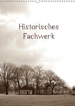 Historisches Fachwerk Terminkalender 2019 (Wandkalender 2019 DIN A3 hoch) von Riedel,  Tanja