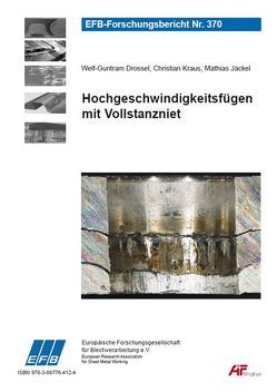 Hochgeschwindigkeitsfügen mit Vollstanzniet von Drossel,  Welf-Guntram, Jäckel,  Mathias, Kraus,  Christian