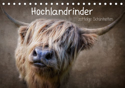 Hochlandrinder – Zottelige Schönheiten (Tischkalender 2023 DIN A5 quer) von Moeckel,  Claudia
