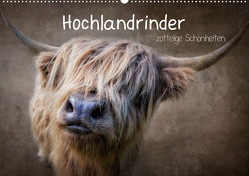 Hochlandrinder – Zottelige Schönheiten (Wandkalender 2023 DIN A2 quer) von Moeckel,  Claudia