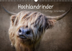 Hochlandrinder – Zottelige Schönheiten (Wandkalender 2023 DIN A3 quer) von Moeckel,  Claudia