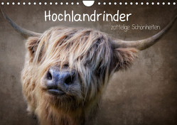 Hochlandrinder – Zottelige Schönheiten (Wandkalender 2023 DIN A4 quer) von Moeckel,  Claudia