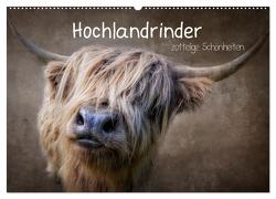 Hochlandrinder – Zottelige Schönheiten (Wandkalender 2024 DIN A2 quer), CALVENDO Monatskalender von Moeckel,  Claudia