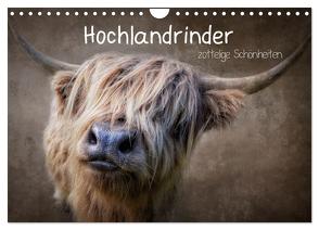 Hochlandrinder – Zottelige Schönheiten (Wandkalender 2024 DIN A4 quer), CALVENDO Monatskalender von Moeckel,  Claudia