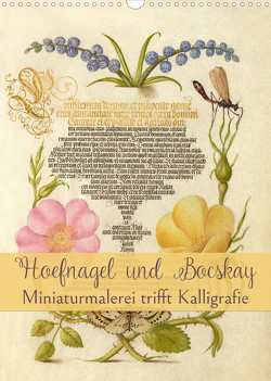 Hoefnagel und Bocskay – Miniaturmalerei trifft Kalligrafie (Wandkalender 2023 DIN A3 hoch) von Camadini Switzerland,  Marena