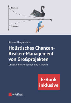 Holistisches Chancen-Risiken-Management von Großprojekten von Bergmeister,  Konrad