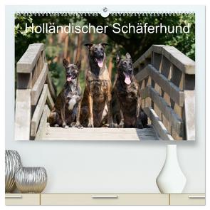 Holländischer Schäferhund (hochwertiger Premium Wandkalender 2024 DIN A2 quer), Kunstdruck in Hochglanz von Verena Scholze,  Fotodesign