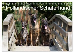 Holländischer Schäferhund (Tischkalender 2024 DIN A5 quer), CALVENDO Monatskalender von Verena Scholze,  Fotodesign