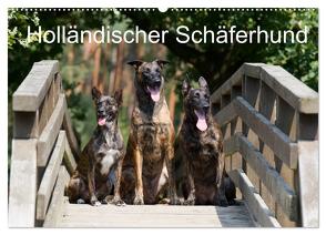 Holländischer Schäferhund (Wandkalender 2024 DIN A2 quer), CALVENDO Monatskalender von Verena Scholze,  Fotodesign