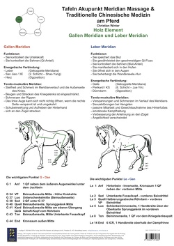 Holz Element. Gallen und Leber Meridian. von Winter,  Christian